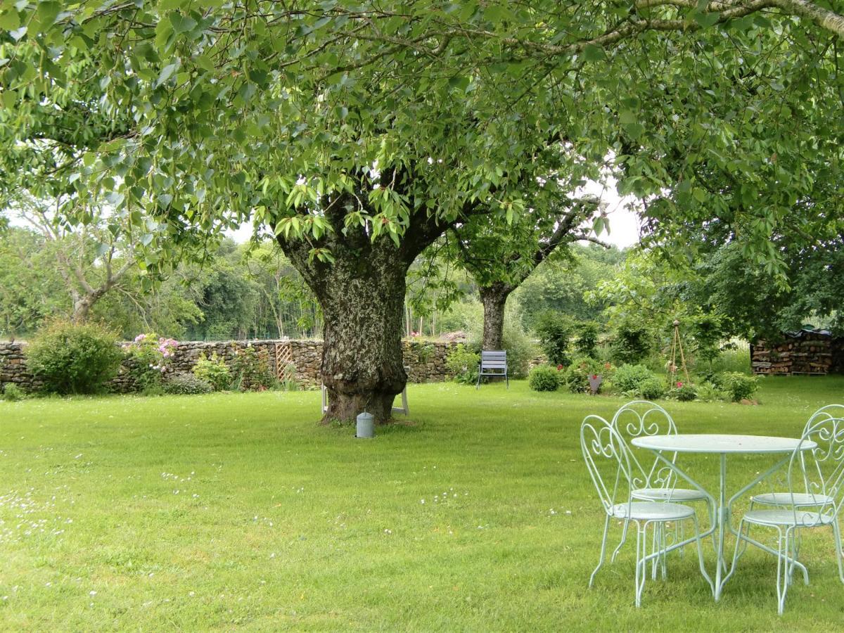 Bed and Breakfast Du Cote De L'Ombriere Geay  Exterior foto